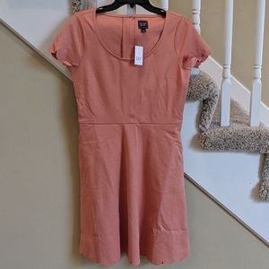 NWT GAP Fit & Flare Ponte Dress, Size 8